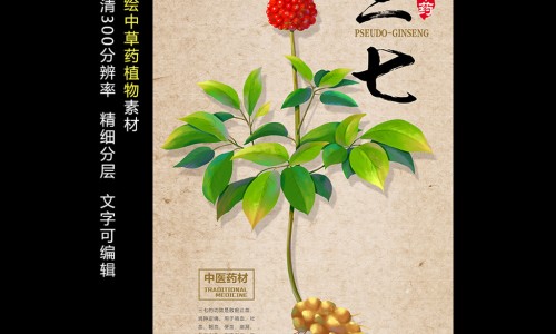 参桂理中丸和参苓白术丸一起吃-参桂理中丸和桂枝茯苓丸的区别网 :分享参桂理中丸的最佳搭配-桂附理中丸和参桂理中丸有啥不同知识