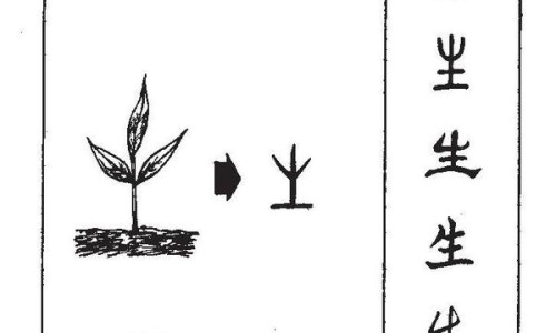 参桂理中丸与桂附理中丸区别-参桂理中丸和桂枝茯苓丸的区别网 :分享参桂理中丸的最佳搭配-桂附理中丸和参桂理中丸有啥不同知识